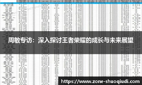 周敏专访：深入探讨王者荣耀的成长与未来展望